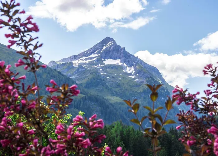 Alpengruss Pensjonat Gerlos
