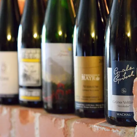 Alpengruss ゲストハウス